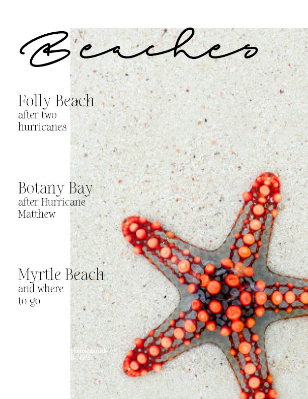 final magazine copy